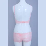 Pink Color Bra Panty Set