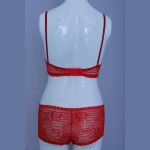 Red Color Bra Panty Set
