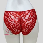 Stylish Red Color Net Panty