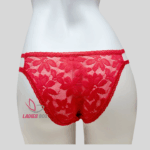 Lace Briefs Red Color Net panty