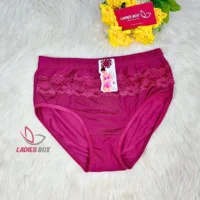 China Cloth Marron Color Net Panty