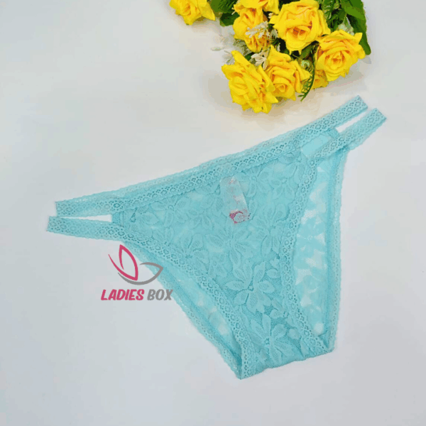 Lace Briefs Firoza Color Net panty