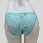 Lace Briefs Firoza Color Net panty