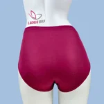 China Cloth Marron Color Net Panty