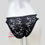 Lace Briefs Black Color Net panty